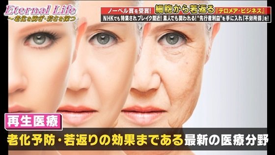 蝶乃舞テロメアビジネス再生医療