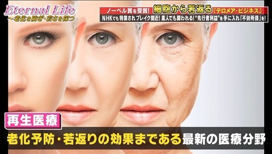 蝶乃舞テロメアビジネス再生医療